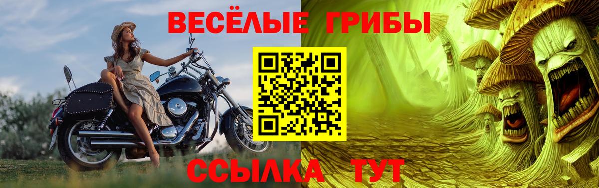 Москва  Псилоцибиновые грибы прущие грибы  Галлюциногенные грибы Cubensis  Вход с VPN 